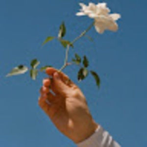 Meet your Posher, Bella